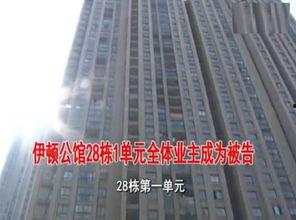 绿地物业爆料案件最新进展,案情揭秘，疑云逐步揭开